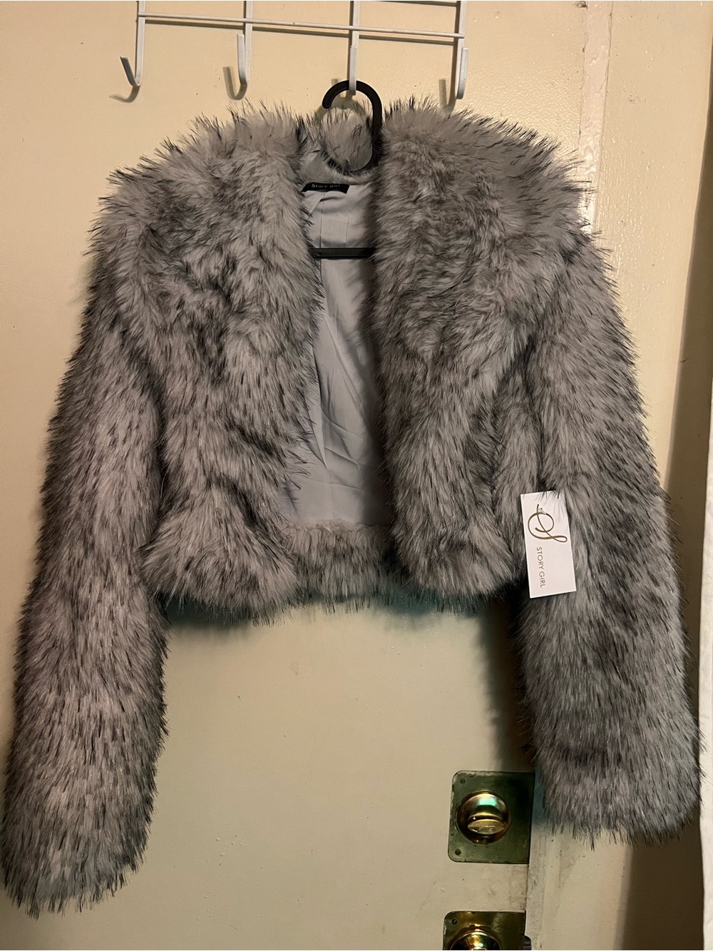 Cropped Faux Fur Teddy Jacket - Gray